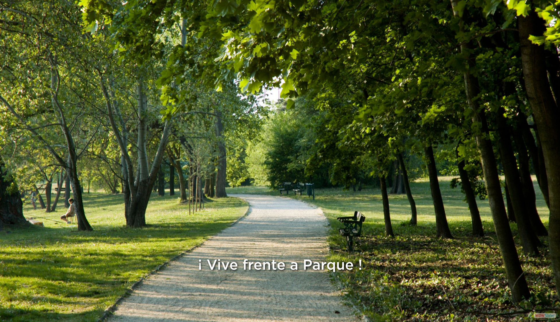 banners02